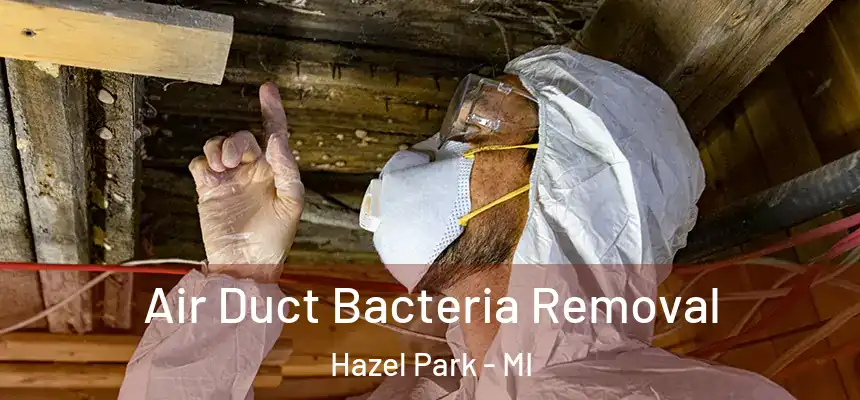 Air Duct Bacteria Removal Hazel Park - MI