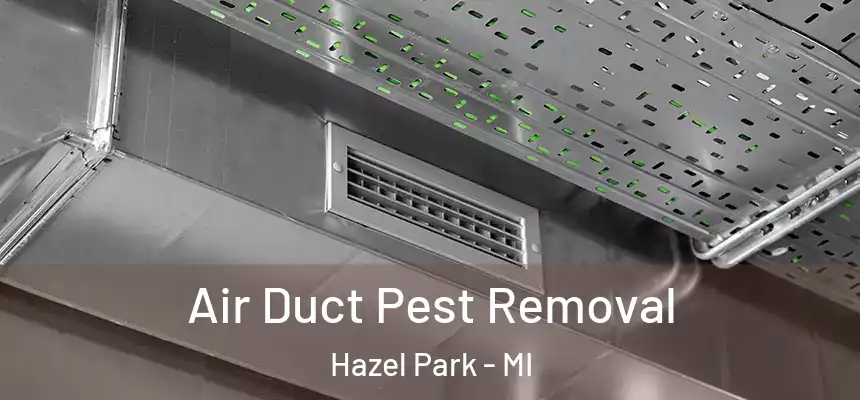  Air Duct Pest Removal Hazel Park - MI