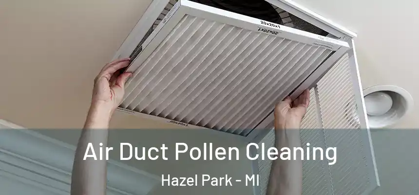 Air Duct Pollen Cleaning Hazel Park - MI