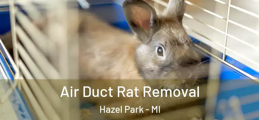 Air Duct Rat Removal Hazel Park - MI