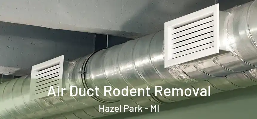 Air Duct Rodent Removal Hazel Park - MI
