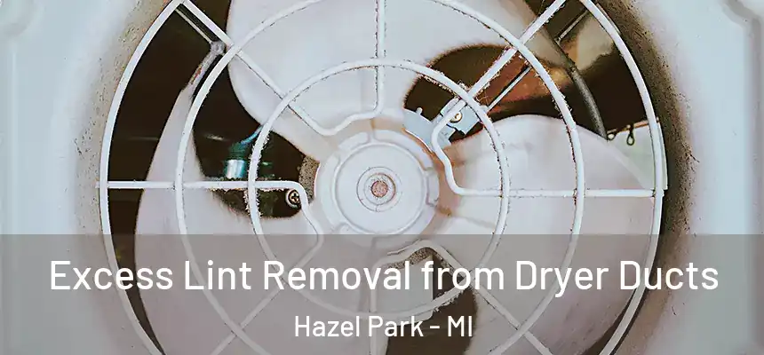 Excess Lint Removal from Dryer Ducts Hazel Park - MI
