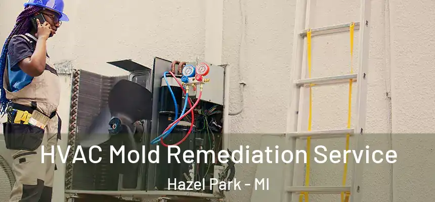  HVAC Mold Remediation Service Hazel Park - MI