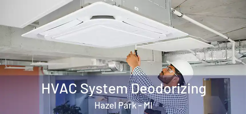  HVAC System Deodorizing Hazel Park - MI