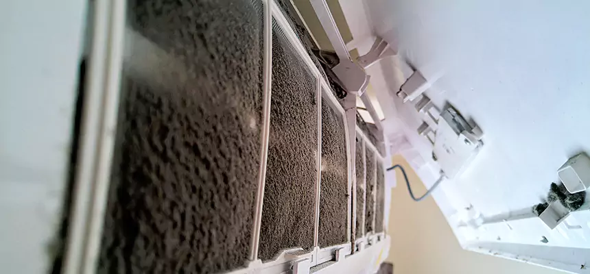 Preventive Air Duct Bacteria Removal in Hazel Park