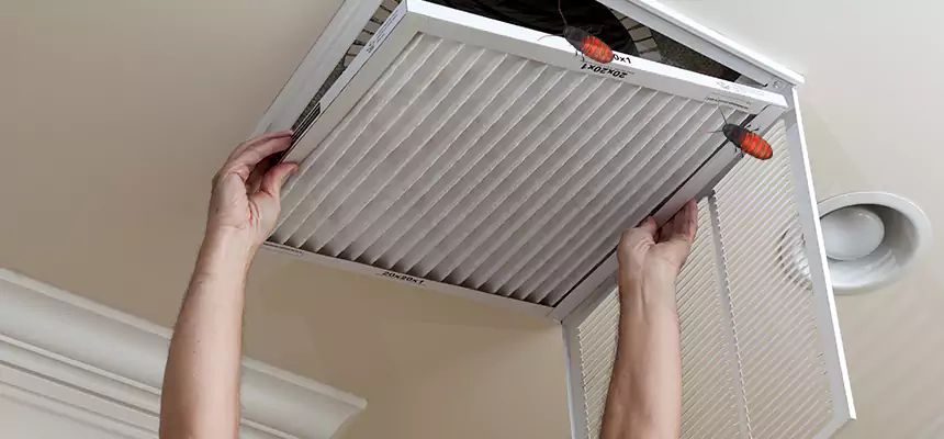 Preventive Cockroach-Proofing for Ducts in Hazel Park