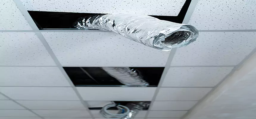 Our Air Duct Pet Hair Removal Services in Hazel Park, MI