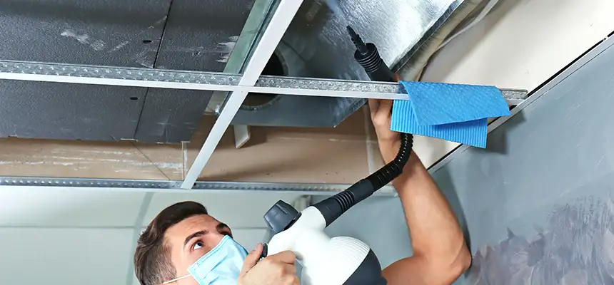 Our Air Duct Rodent Removal Services in Hazel Park, MI