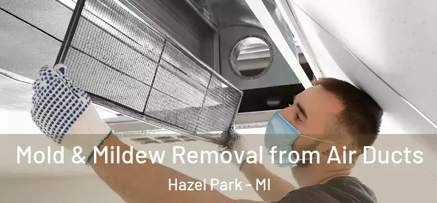Mold & Mildew Removal from Air Ducts Hazel Park - MI