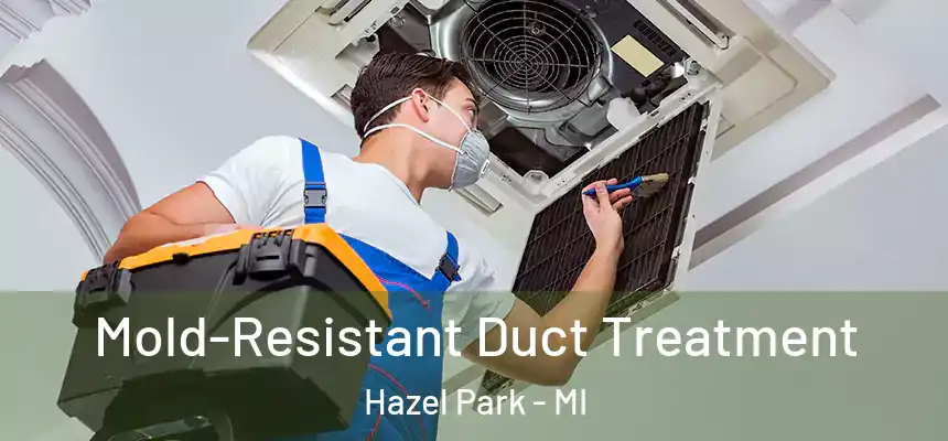 Mold-Resistant Duct Treatment Hazel Park - MI