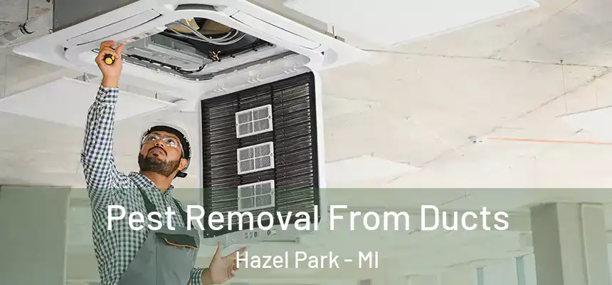 Pest Removal From Ducts Hazel Park - MI