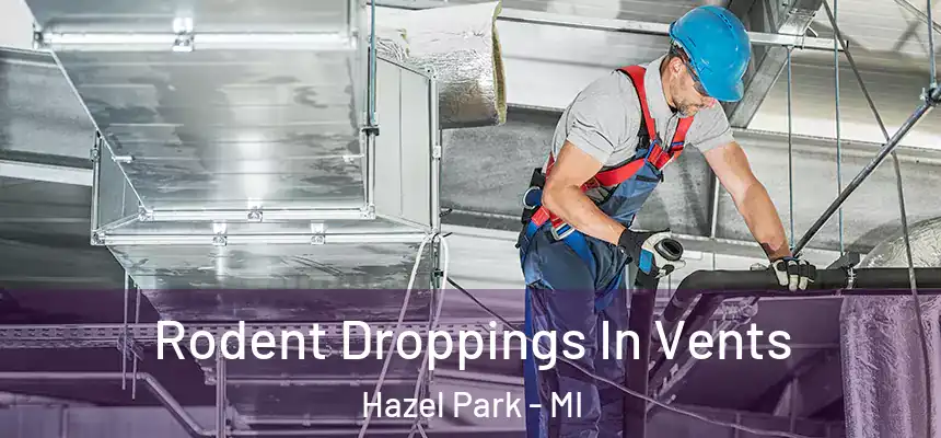 Rodent Droppings In Vents Hazel Park - MI