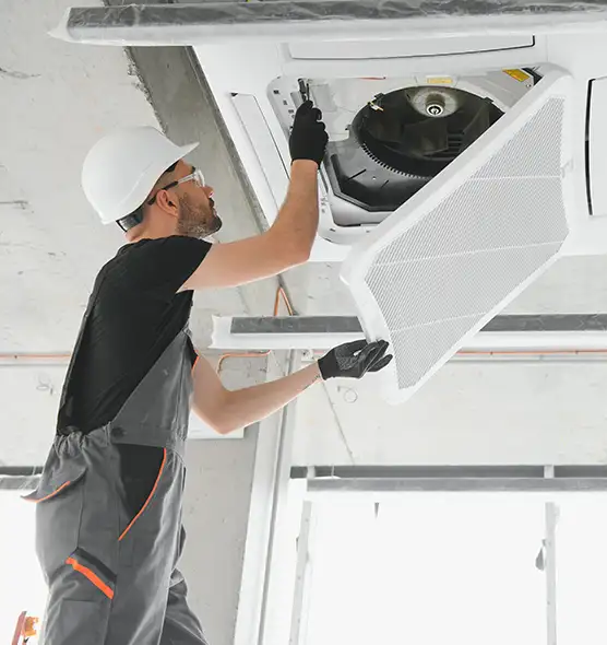 About Air Duct Rodent Removal in Hazel Park, MI