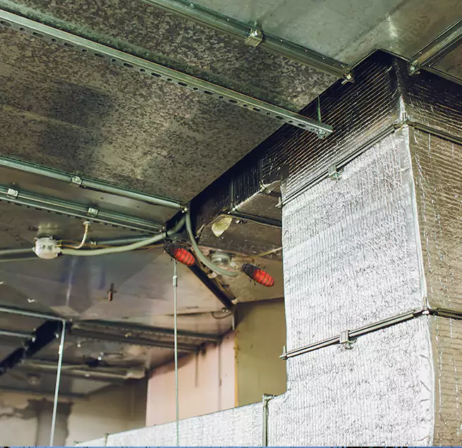 Why Homeowners & Businesses Trust Us in Hazel Park, MI?