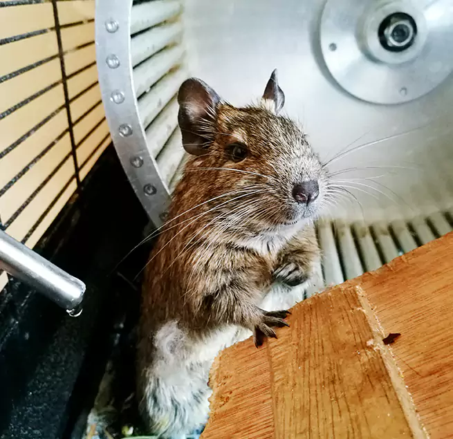 Why Homeowners & Businesses Trust Us Hazel Park, MI