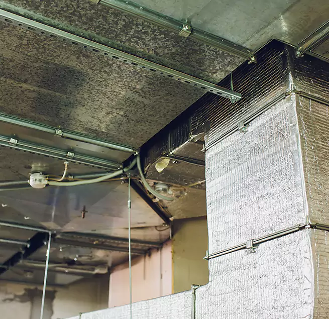 Why Homeowners & Businesses Trust Us in Hazel Park, MI?