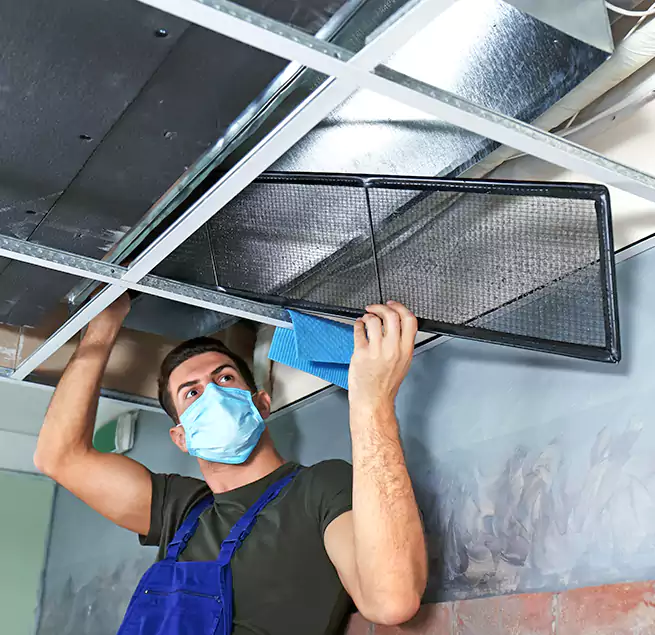 Why Homeowners Businesses Trust Us in Hazel Park, MI