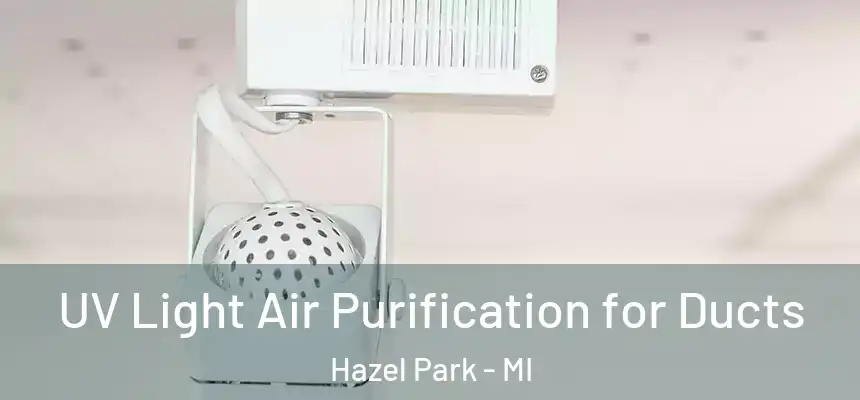 UV Light Air Purification for Ducts Hazel Park - MI